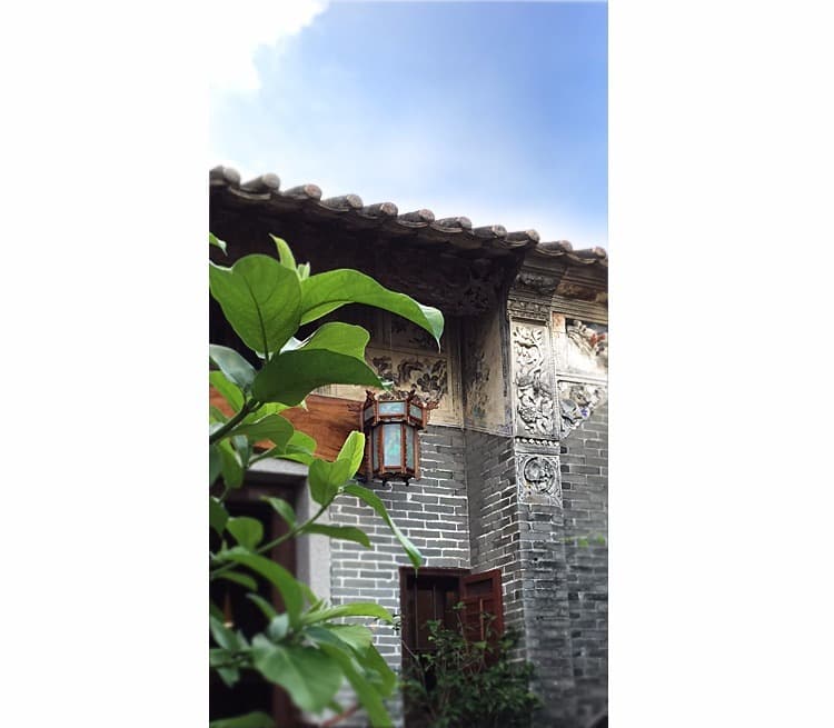 东洋佐佐木 琥珀茶杯 - 详情图 1