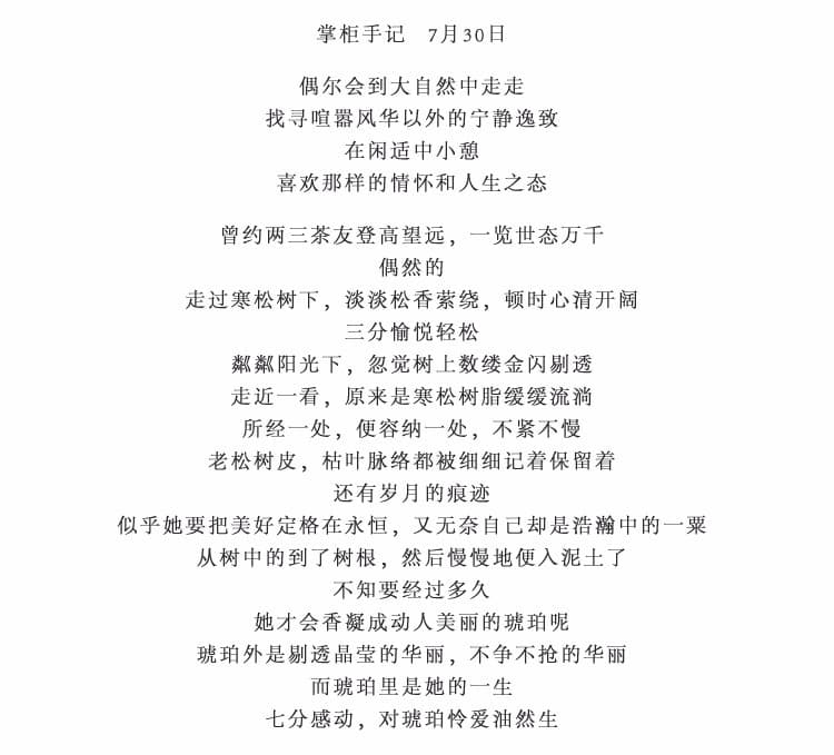 东洋佐佐木 琥珀茶杯 - 详情图 2